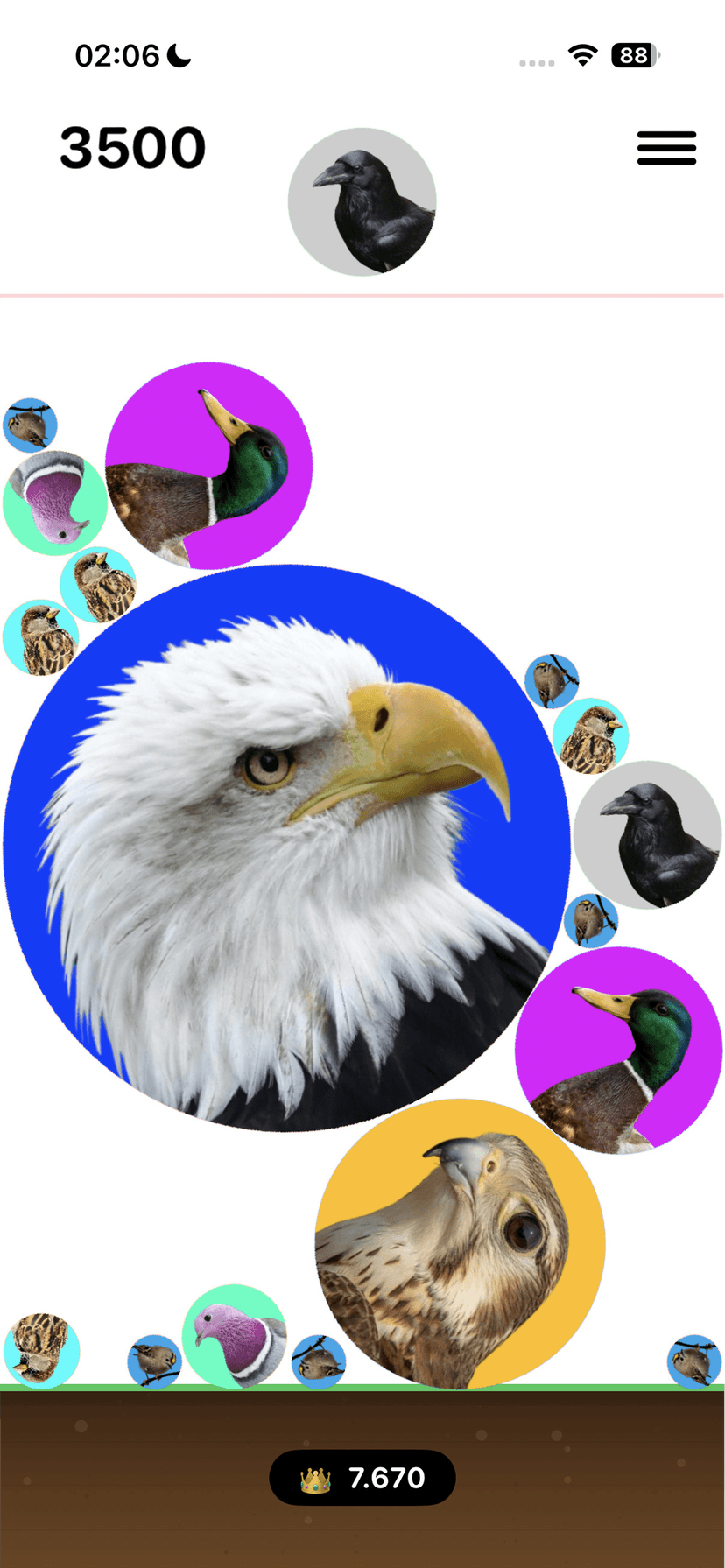 QR Code Preview and Actions